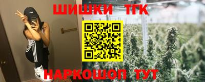 индика Кандалакша