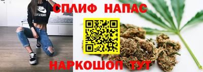 индика Кандалакша