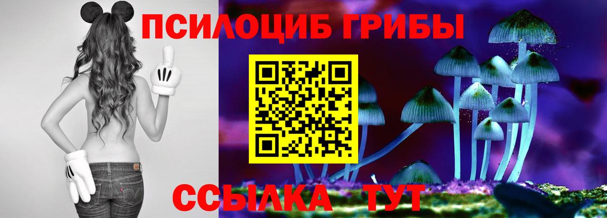 Псилоцибиновые грибы MAGIC MUSHROOMS  Вход с VPN  Азов  Галлюциногенные грибы мицелий 